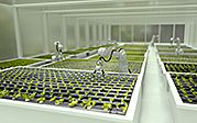 istock/andresr: 3D robots growing lettuce in a greenhouse - automated processes concepts