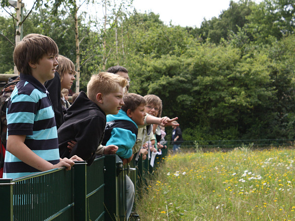 Kinder in Leherheide