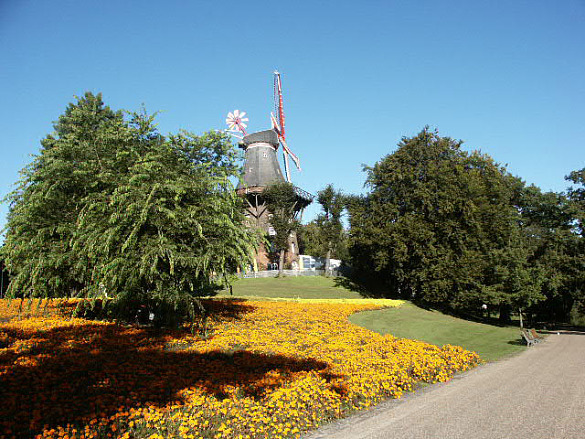 Foto Wallmühle