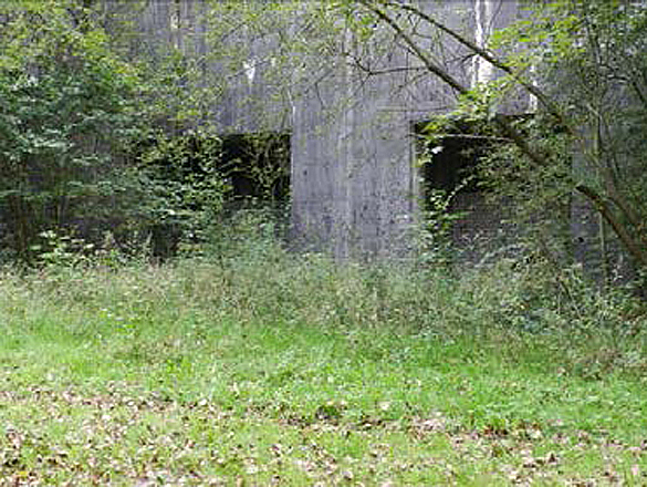 Der bewachsene Bunker