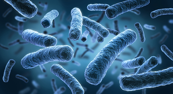 Bild von Legionella pneumophila - 3D-Illustration